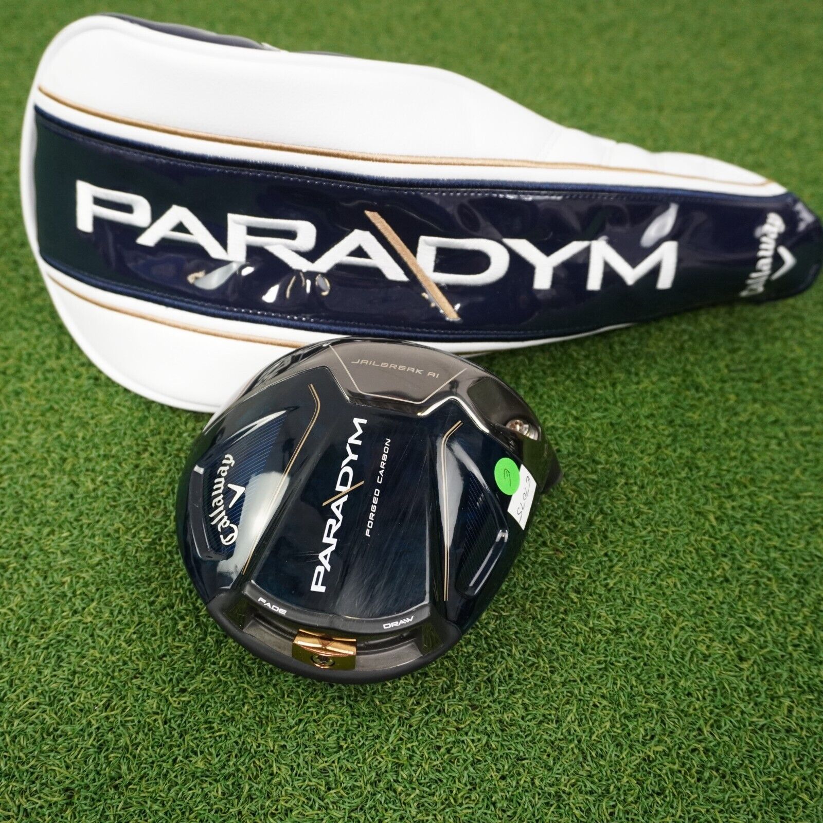 paradym driver head and head cover on grass